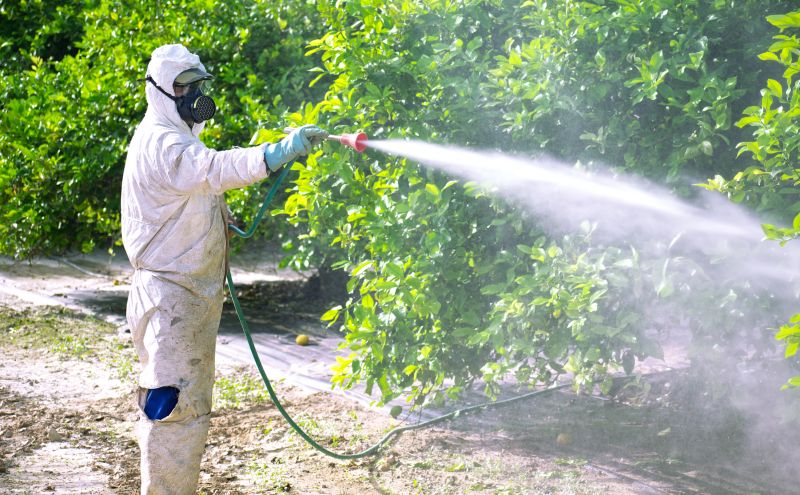 Pest Fumigation Service in Oklahoma City, OK