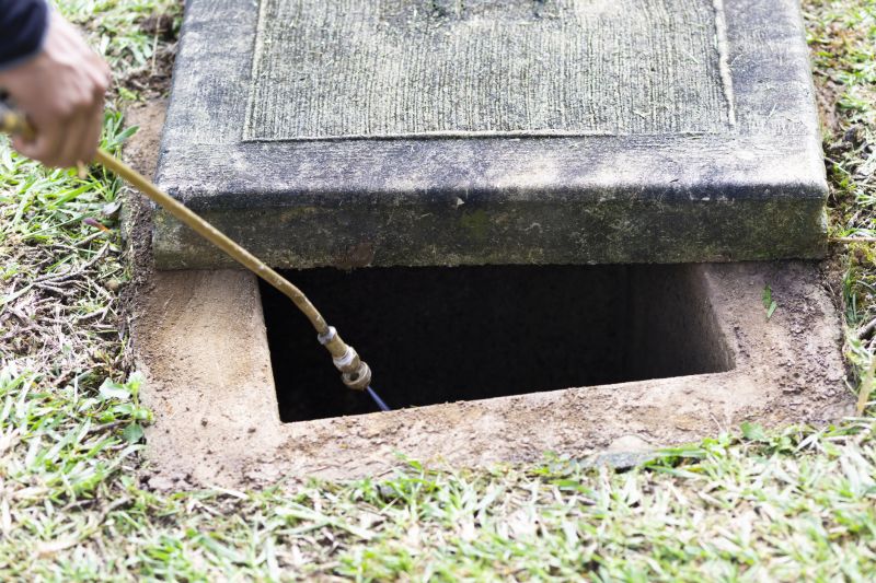 Rat Fumigation Service in Wilmington, DE