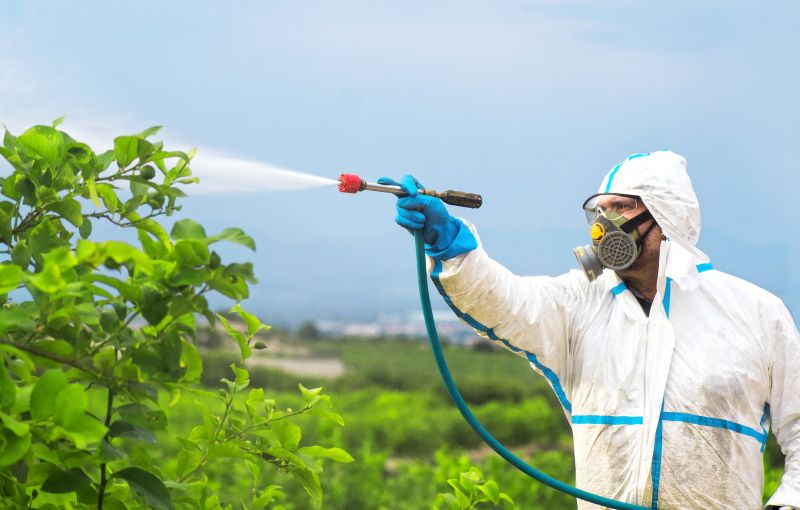 Spider Fumigation Service in West Palm Beach, FL
