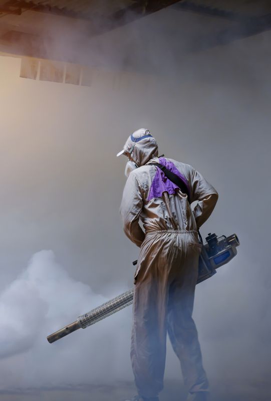 Spider Fumigation Service in Bellingham, WA