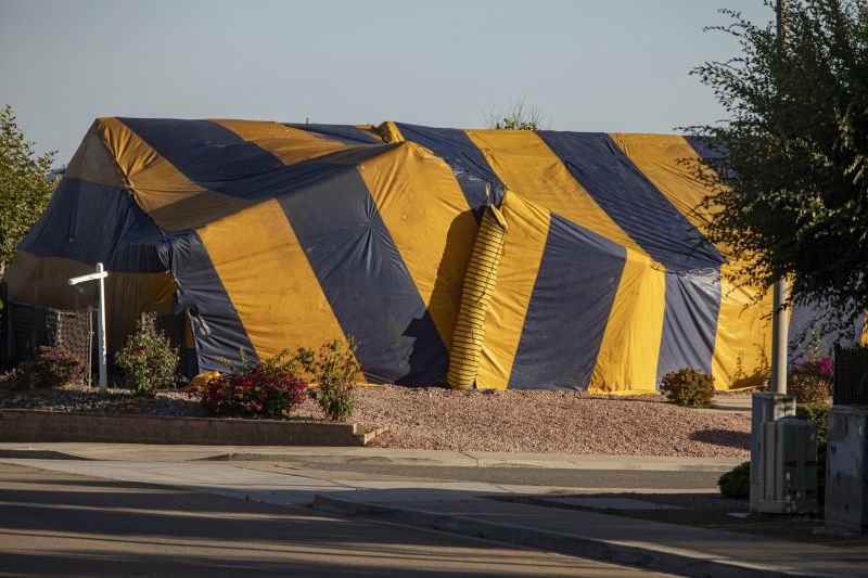 Termite Tenting in San Antonio, TX